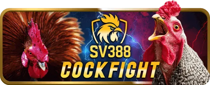 Quản lý cài đặt cookie và chính sách quyền riêng tư tại 777x game
